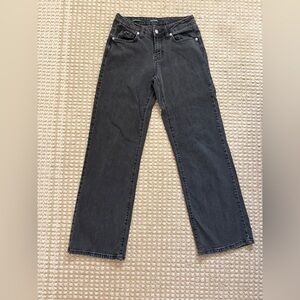 Wild Fable Men's Dark Gray Straight Jeans